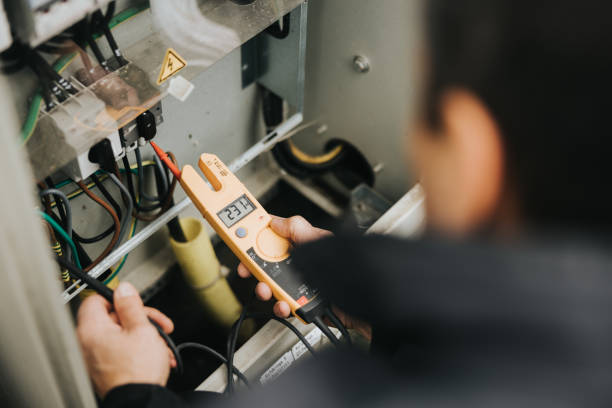 Best Electrician for Home Renovation  in De Soto, IA